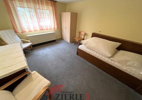 17- Esszimmer + Schlafzimmer inkl. Mini-Küche EG
