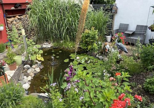 Terasse mit Teich