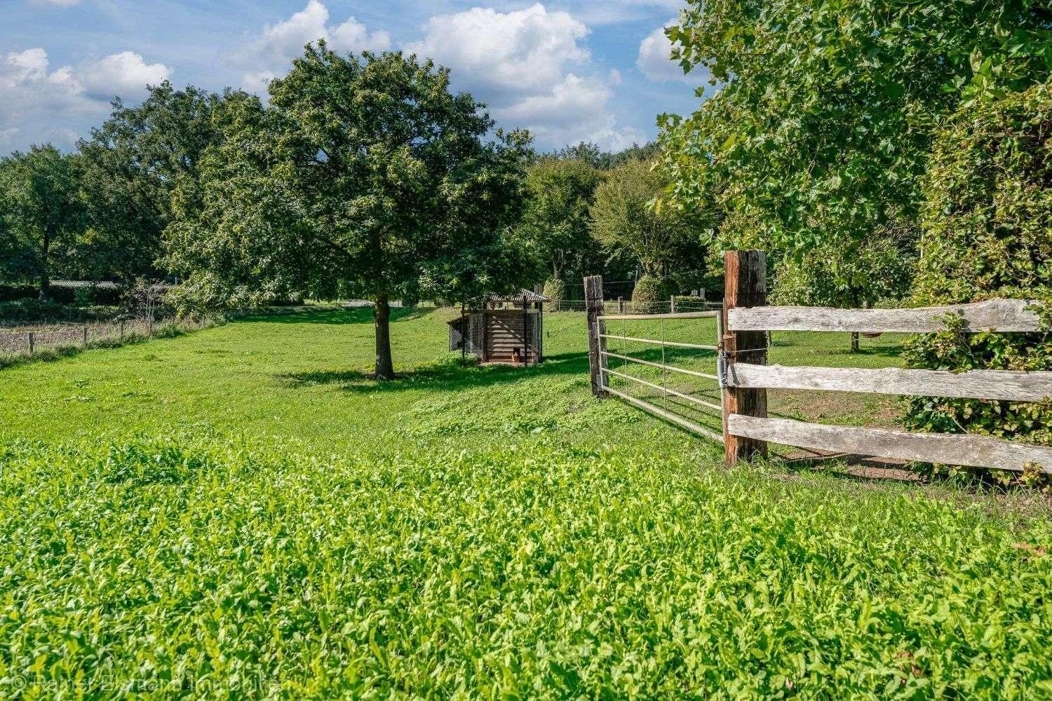 Wiesen und Garten