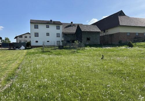 Sonniger großer Garten