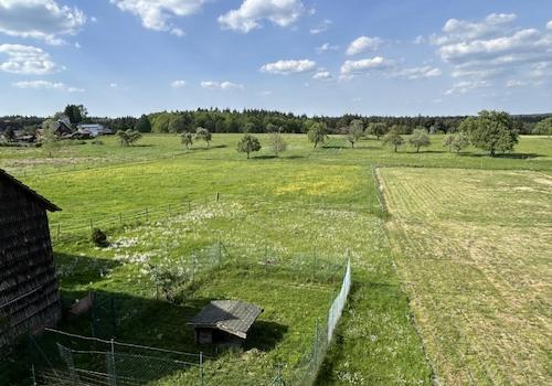 Ausblick auf den Garten