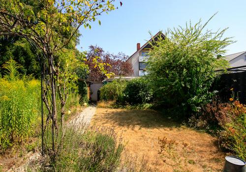 Garten Blick 1