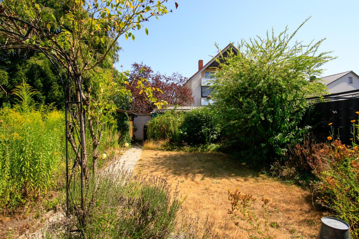 Garten Blick 1