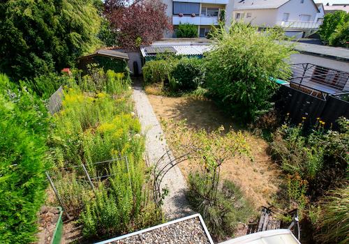 Blick 2 Garten