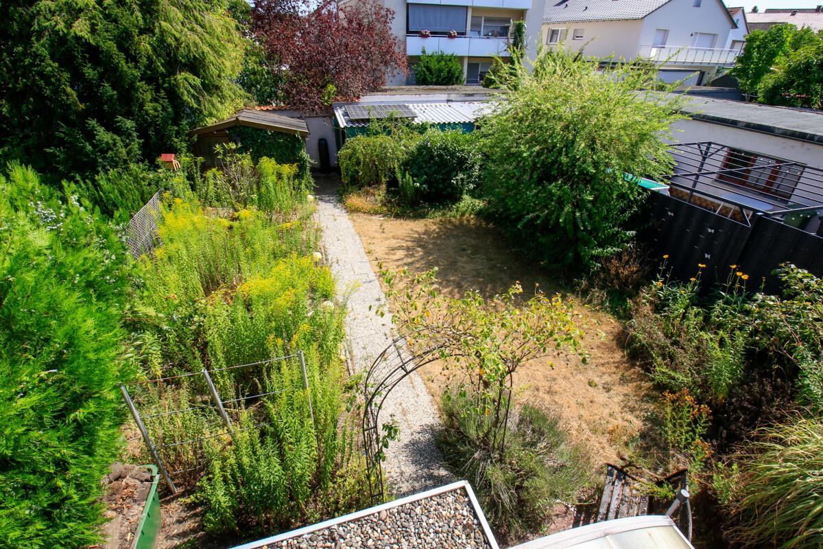 Blick 2 Garten