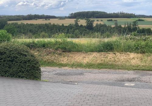 Blick in die Weite