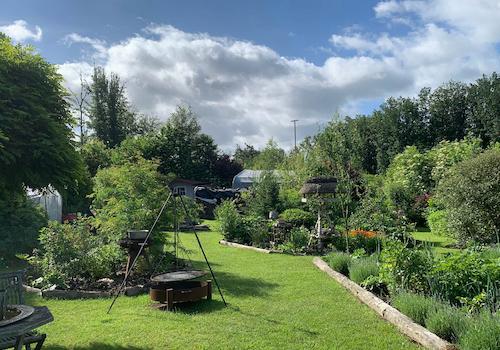 Blick in den Garten