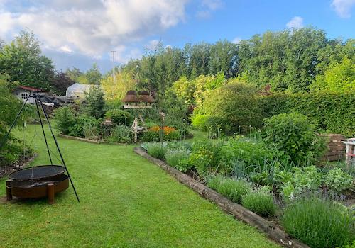Blick in den Garten