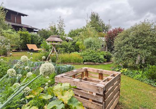 Blick in den Garten