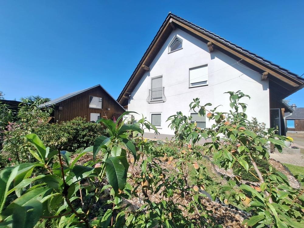 Ansicht Rückseite