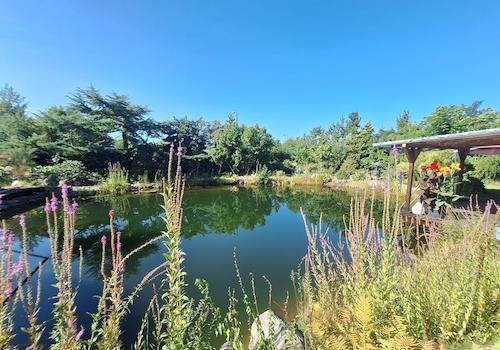 Schwimmteich