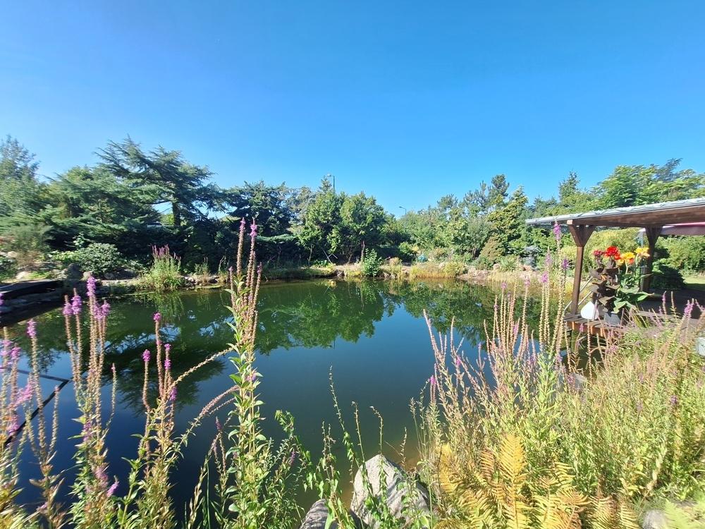 Schwimmteich