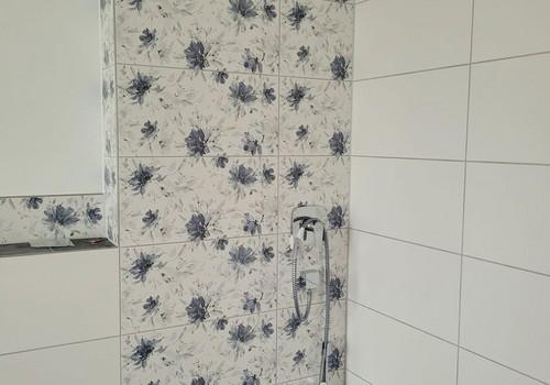 Hauptbad Dusche