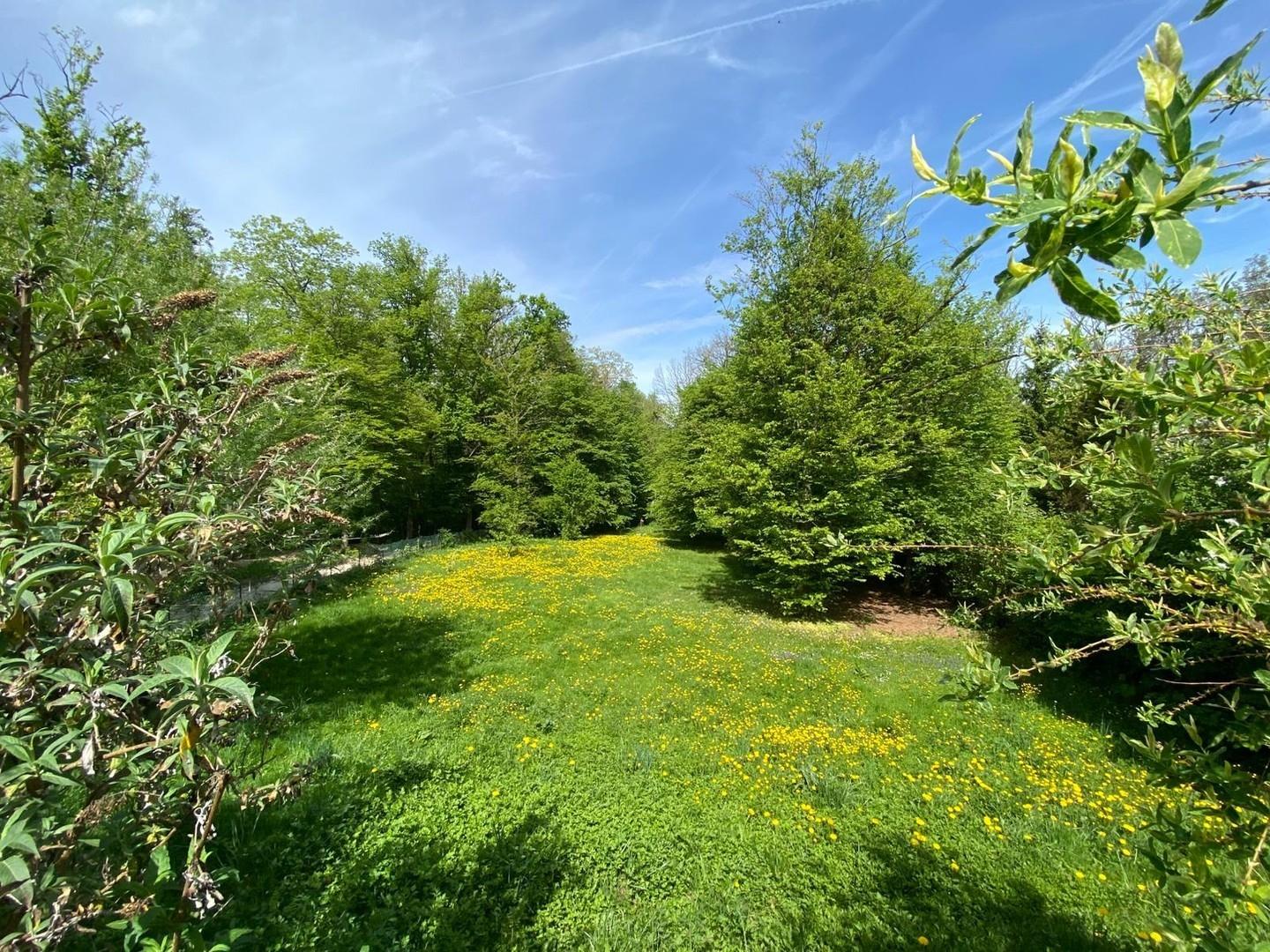 Aussicht in den Garten