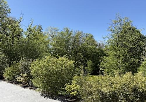 Ausblick von der Terrasse