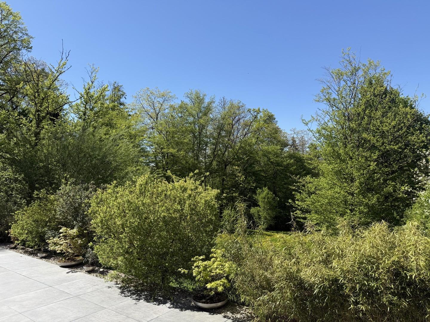 Ausblick von der Terrasse