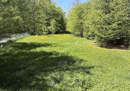 Grundstück 1770 m²