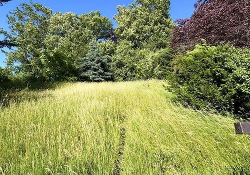 hinterer Garten