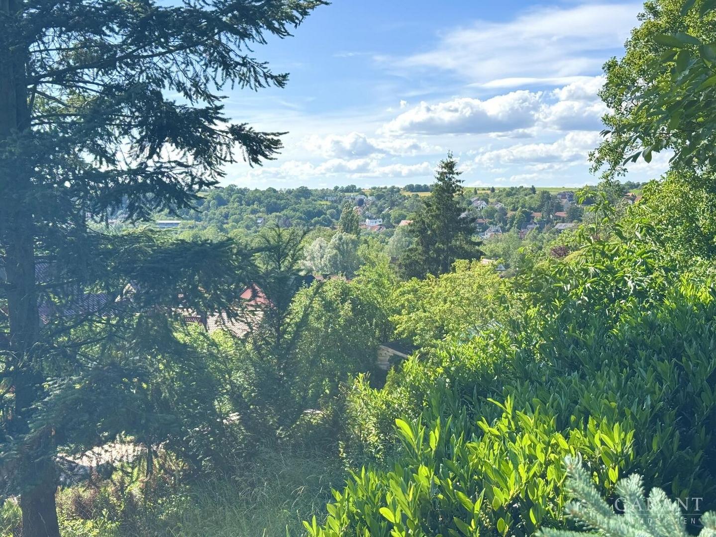 Blick über Neustadt