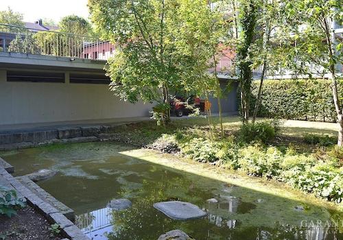 Gemeinschaftsgarten