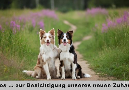 Auf, los ...