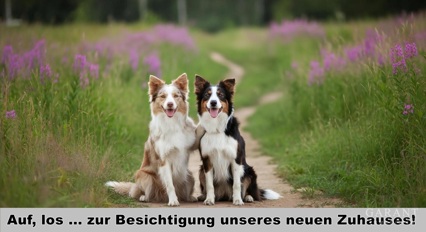 Auf, los ...