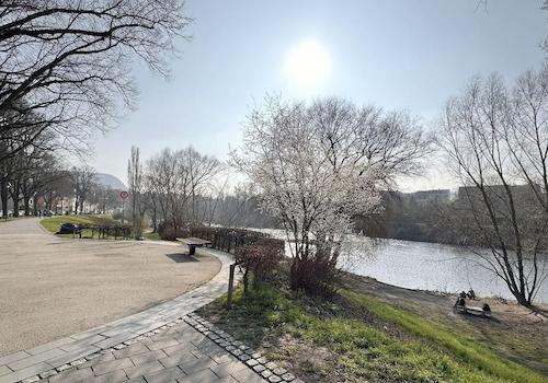 Saale-Ufer