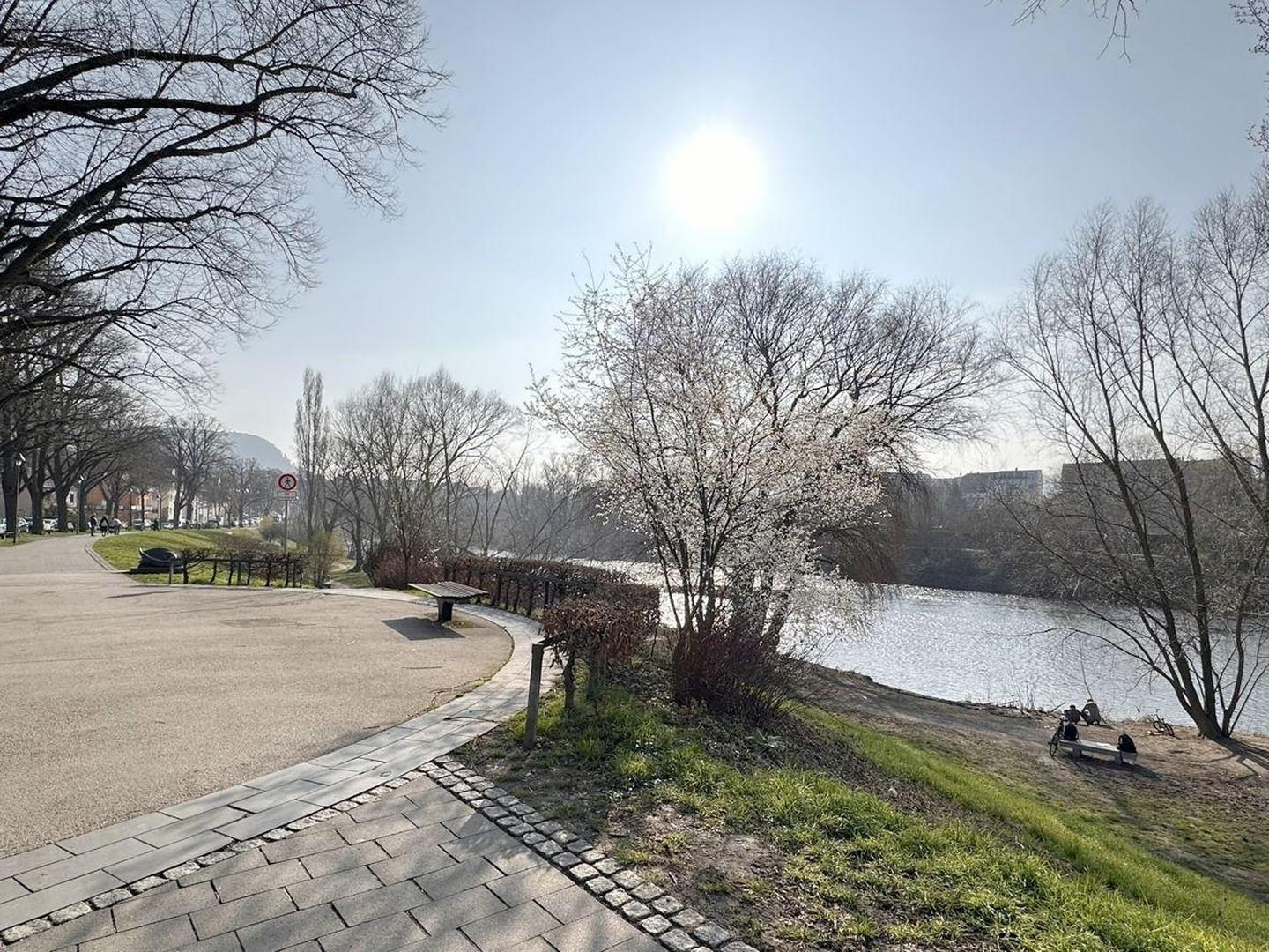 Saale-Ufer