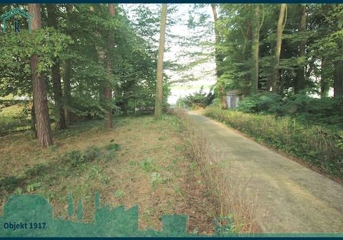 1917 Weg zum See