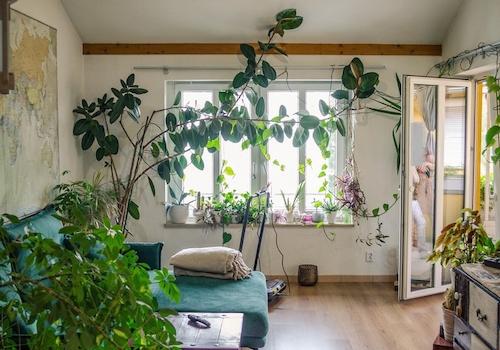 Wohnzimmer 2