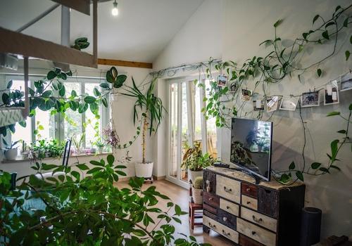 Wohnzimmer 3