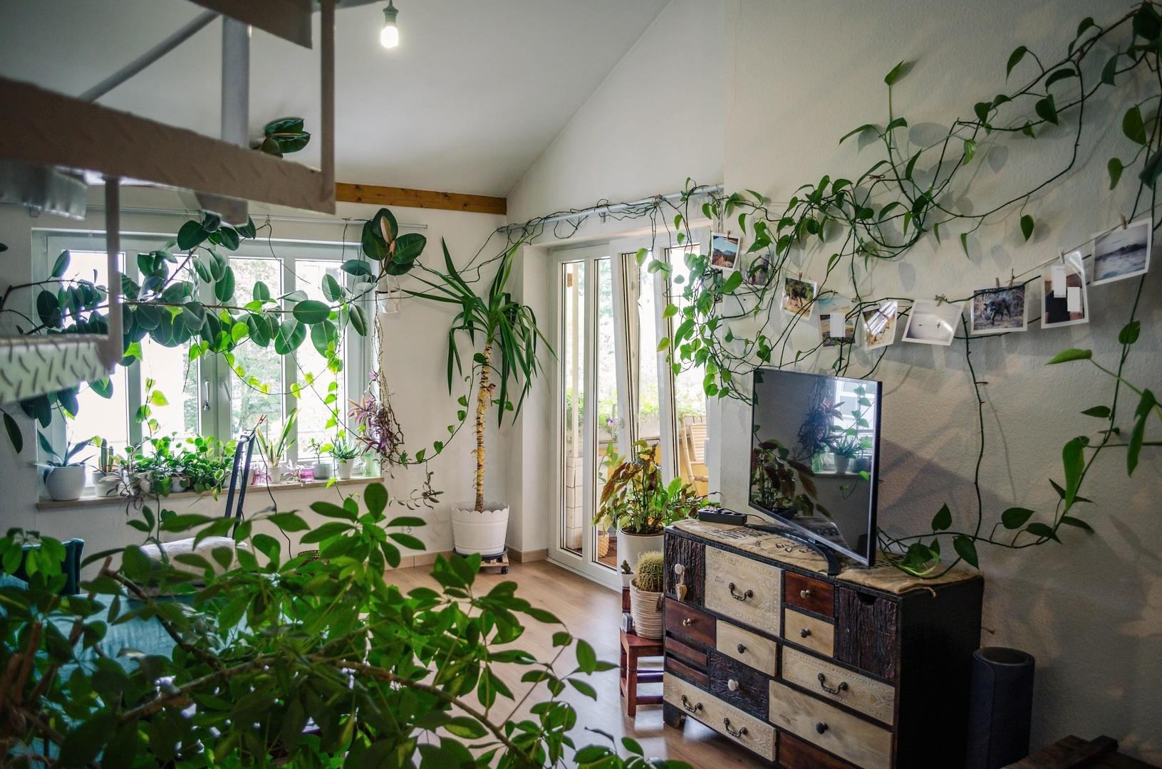 Wohnzimmer 3