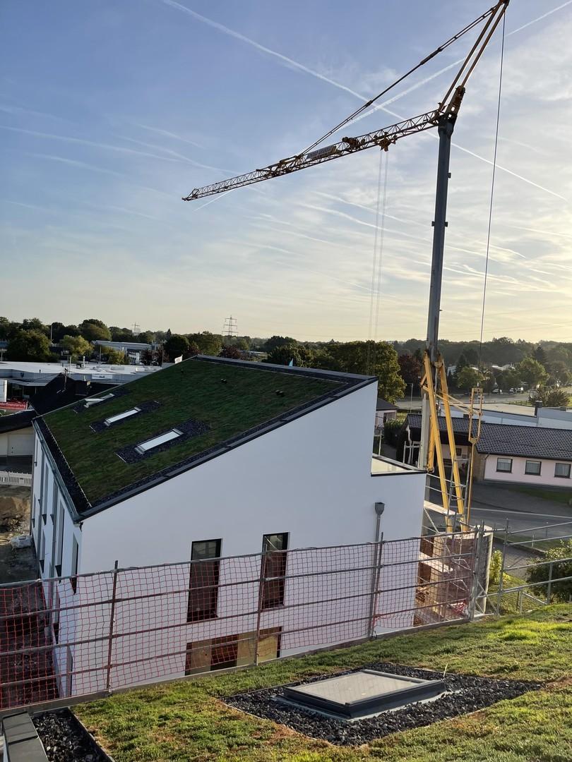 Ökologische Dachbegrünung