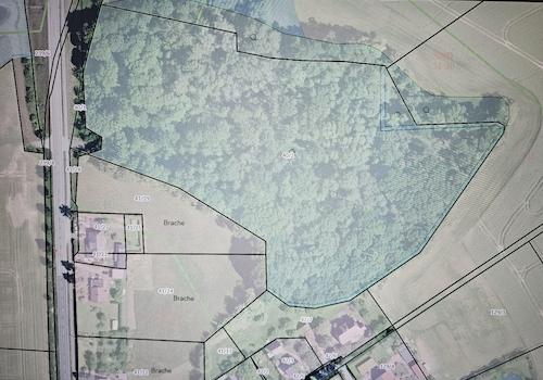 Liegenschaft Geodatenbank MV S