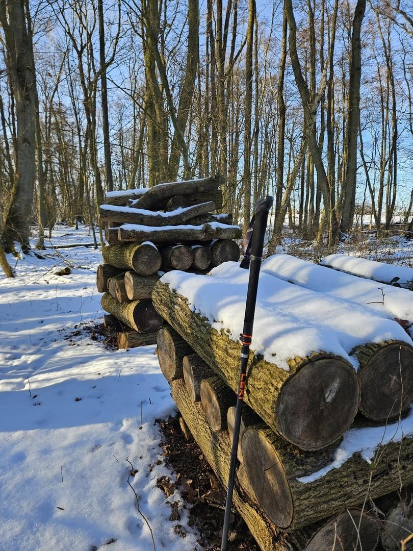 Feuerholz