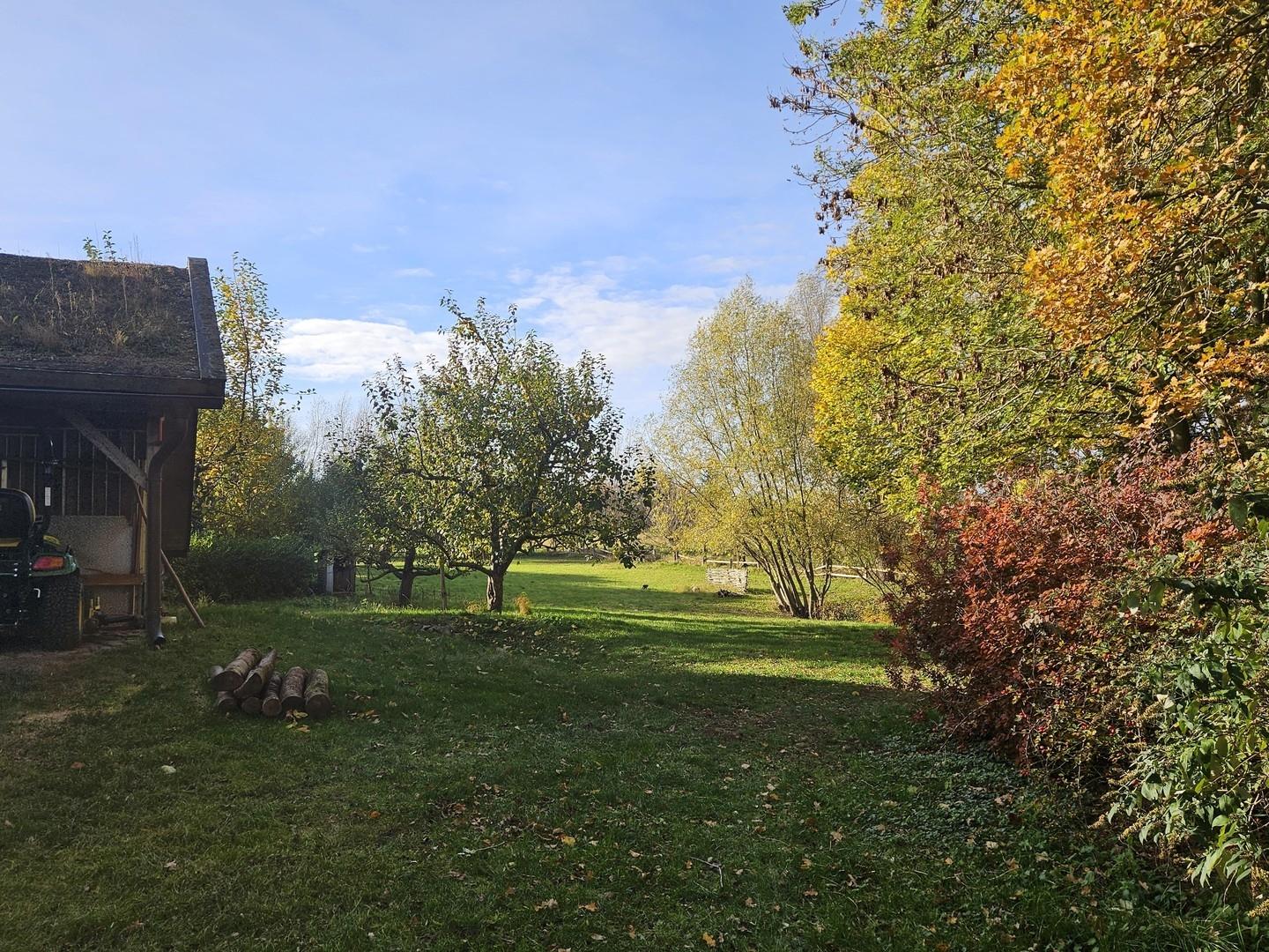 Herbst Blick zur Wiese von Nor