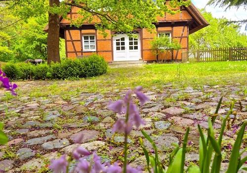 Frühling 