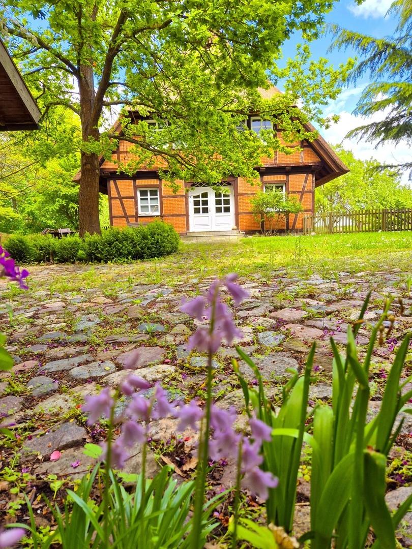 Frühling 