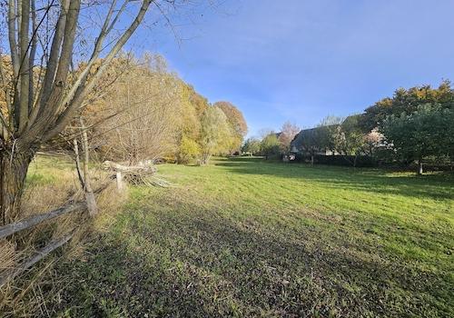 Wiese von Osten
