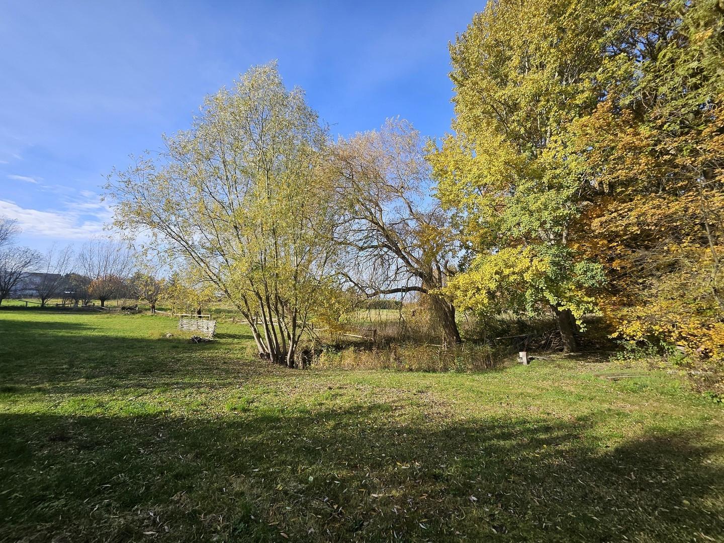 Wiese mit Wasserloch, Brunnen