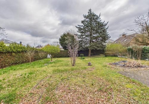 Blick in den Garten