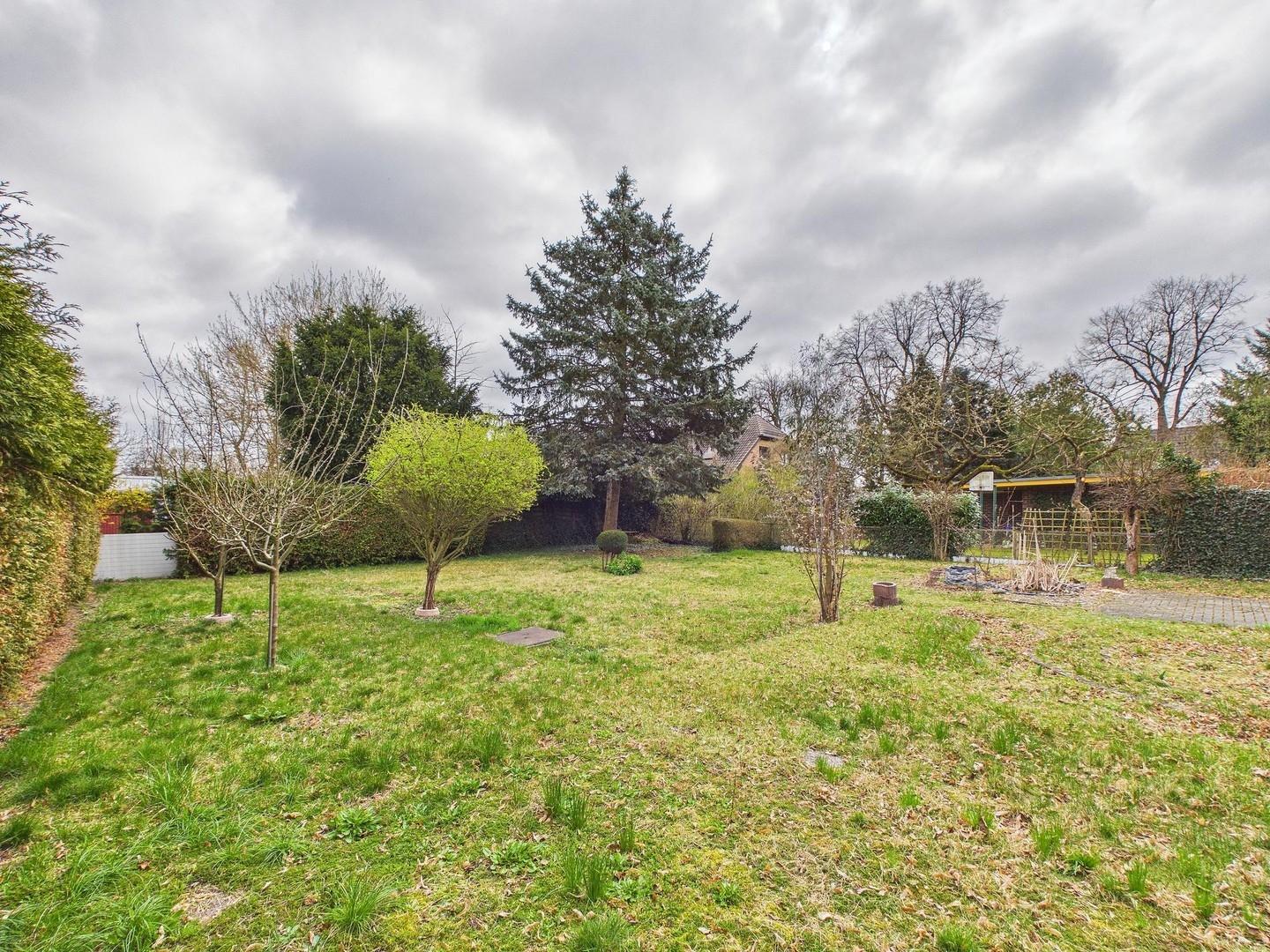 Blick in den Garten