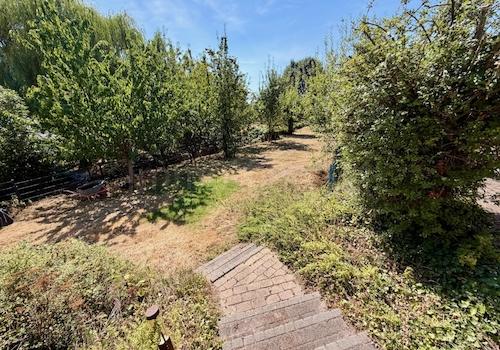 TREPPE ZUM GARTEN