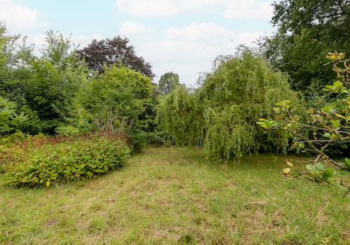 Gartenansicht-  KI bearbeitet
