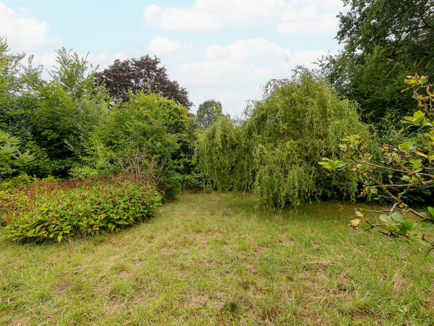 Gartenansicht-  KI bearbeitet