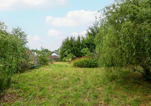 Gartenansicht-  KI bearbeitet