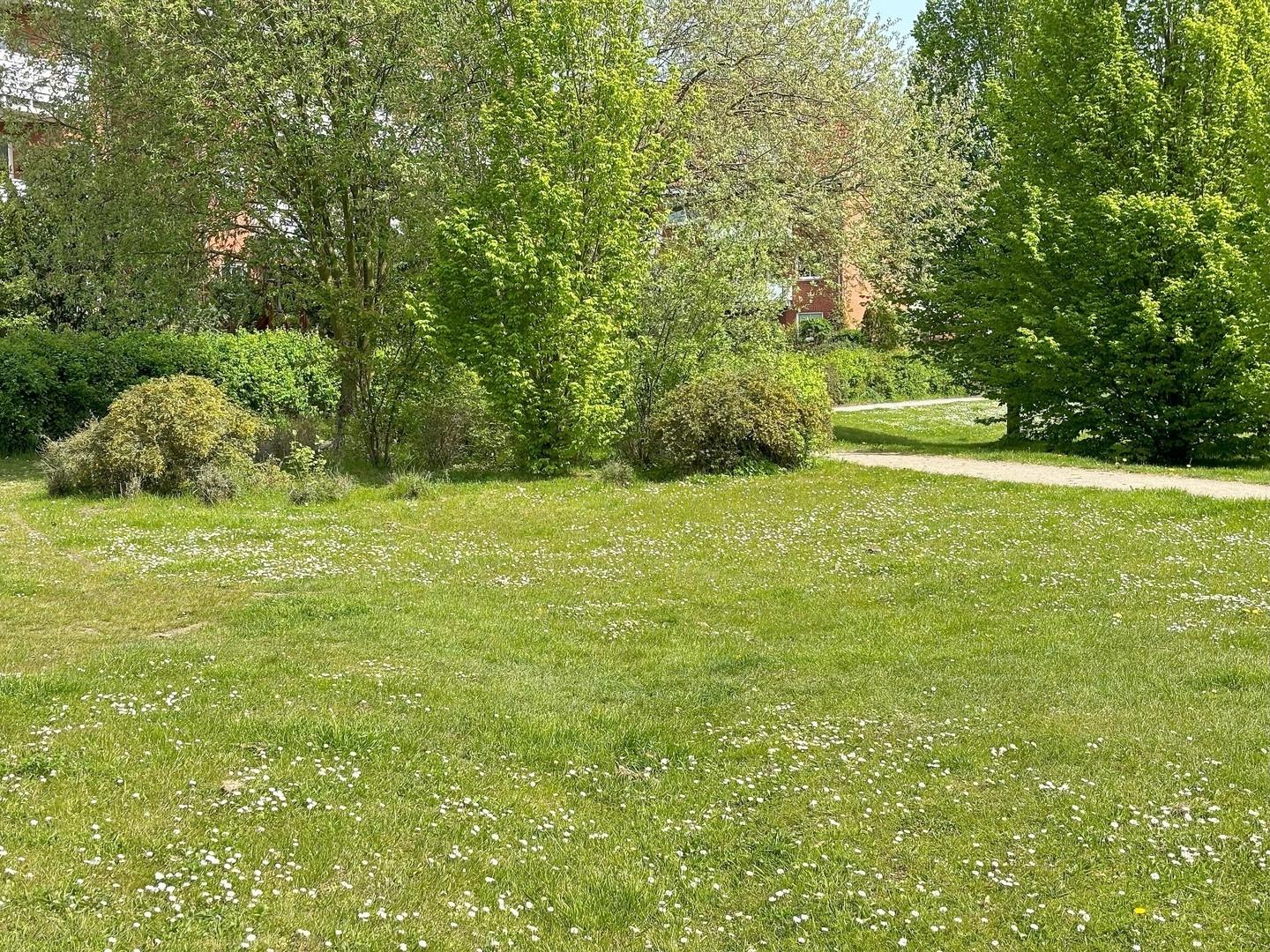 Öffentlicher Grünstreifen