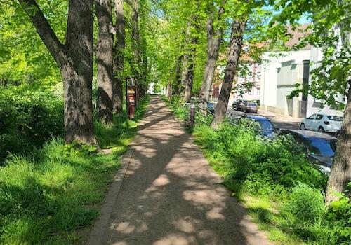 Wallrundweg 1 Frühling