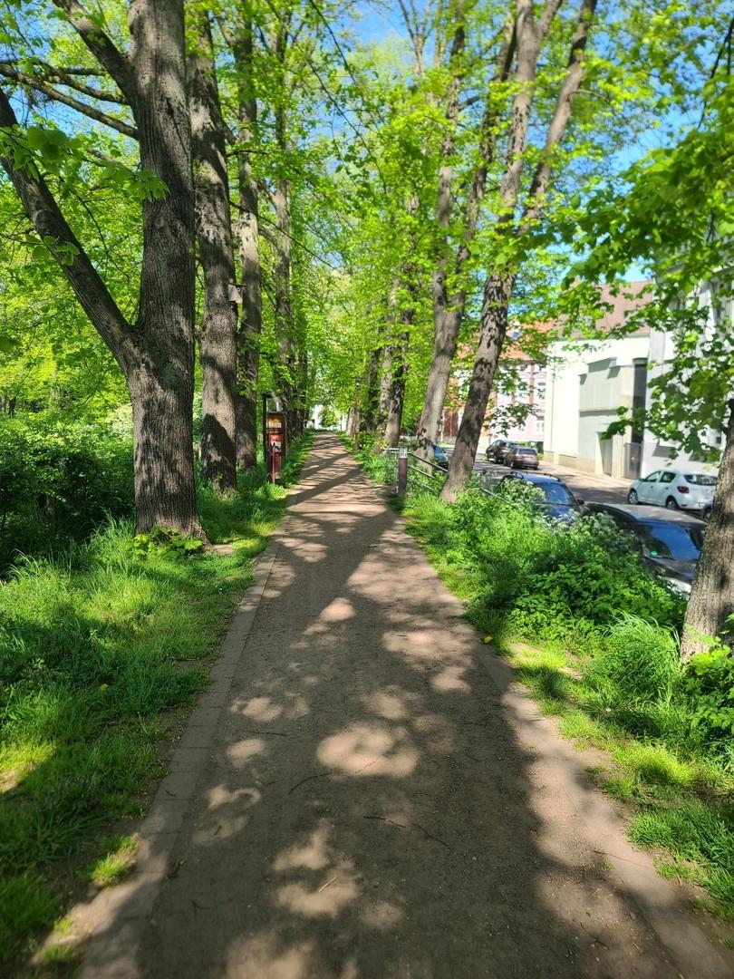 Wallrundweg 1 Frühling