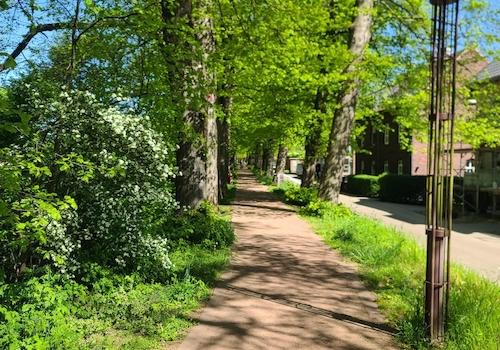 Wallrundweg 2 Frühling